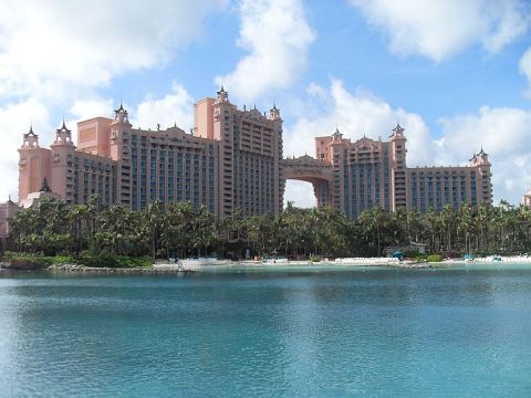 A Dragon In The Bahamas