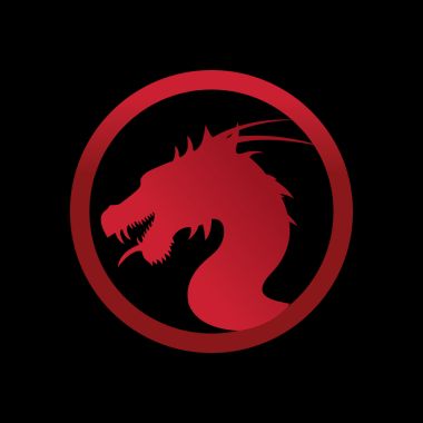 Choose My Next Video Course!