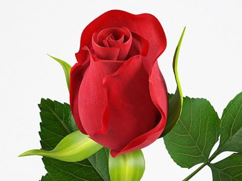 Objections To Younger Women with Older Men