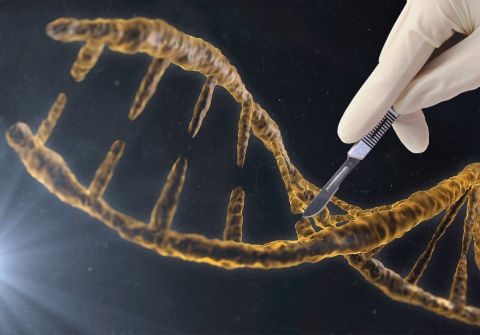 Resisting Your Biology – Good or Bad?