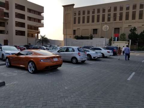 A Dragon In Dubai