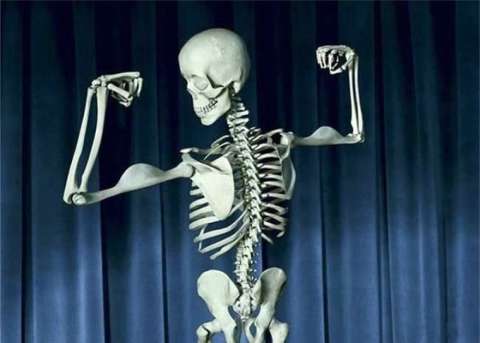 All My Skeletons