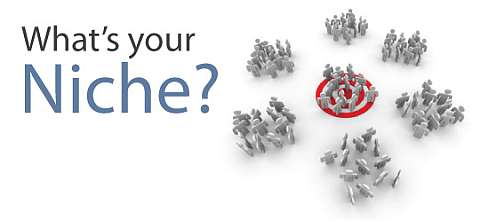 Niching Your Alpha 2.0 Business for Maximum Profit