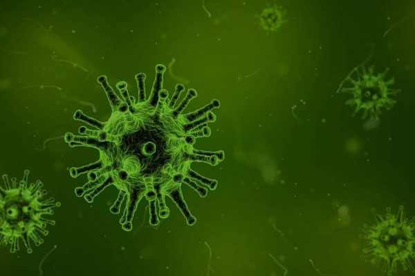 The Deal with This Stupid Coronavirus